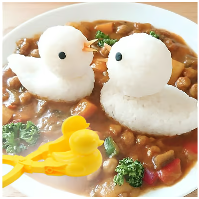 RICE MOLDS