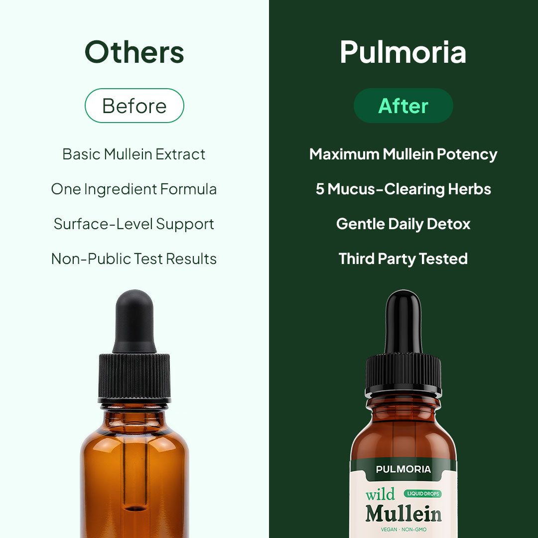 Pulmoria vs basic single-ingredient mullein extract comparison
