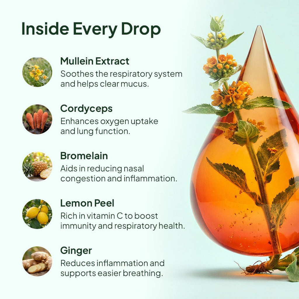 Inside every drop: Mullein Extract, Cordyceps, Bromelain, Lemon Peel, Ginger